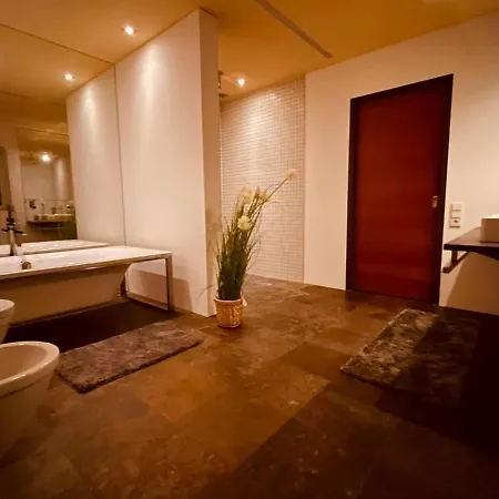 Apartment Loft Frastanz